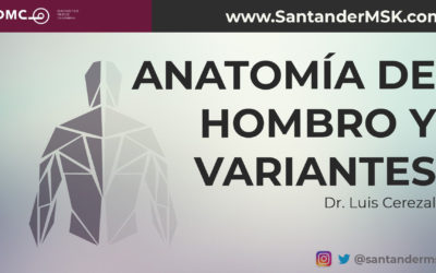 Anatomía de hombro y variantes. Dr Luis Cerezal