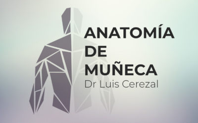 #2 Anatomía de muñeca