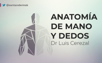 #3 Anatomía de mano y dedos